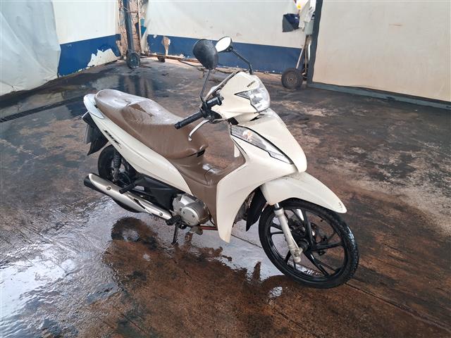 BIZ 125 2023